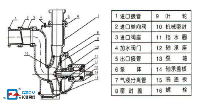 自吸排污泵結(jié)構圖